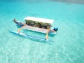 Détails : Tours et Excursions à Tahaa et Raiatea - Destination Lagon